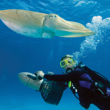 Load image into Gallery viewer, PADI Diver Propulsion Vehicle (DPV) , £230.00. (£150.00 deposit required).