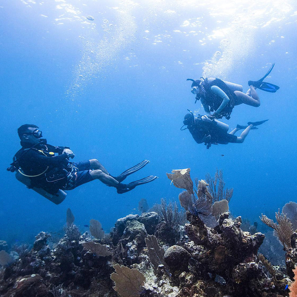 PADI Divemaster Course (DM). £750.00 (£150.00 deposit required.)