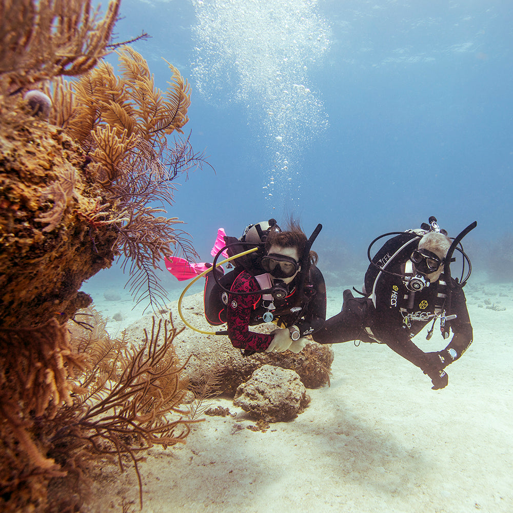 PADI Peak Performance Buoyancy Diver: £235.00. (£150.00 deposit required).