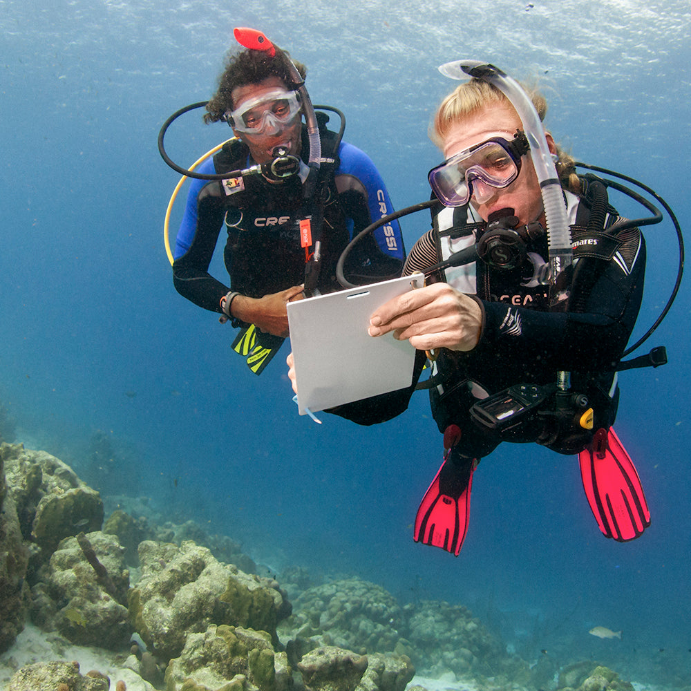 PADI Search & Recovery Diver; £379.00. (£150.00 deposit required).