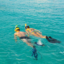 Load image into Gallery viewer, PADI Discover Snorkeling