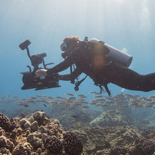 Load image into Gallery viewer, PADI Digital Underwater Photography (DUP), £245.00. (£150.00 deposit required).