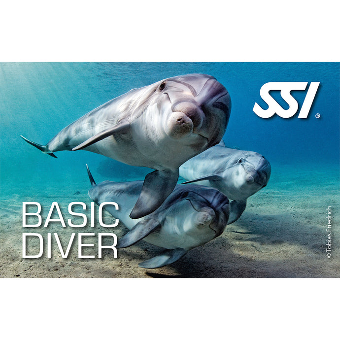 SSI Basic Scuba Diver