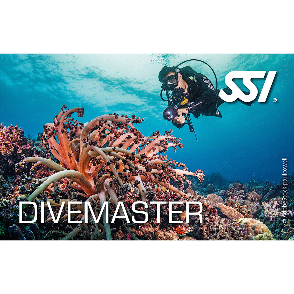 SSI Divemaster
