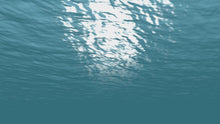 Load and play video in Gallery viewer, SSI Diver Stress &amp; Rescue
