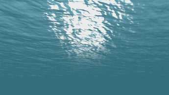 SSI Open Water Diver