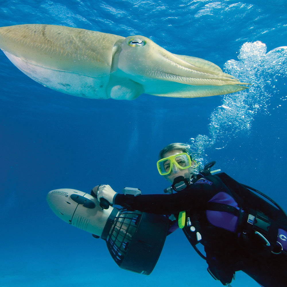 PADI Diver Propulsion Vehicle (DPV) ,     £289.00.  (£150.00 deposit required).