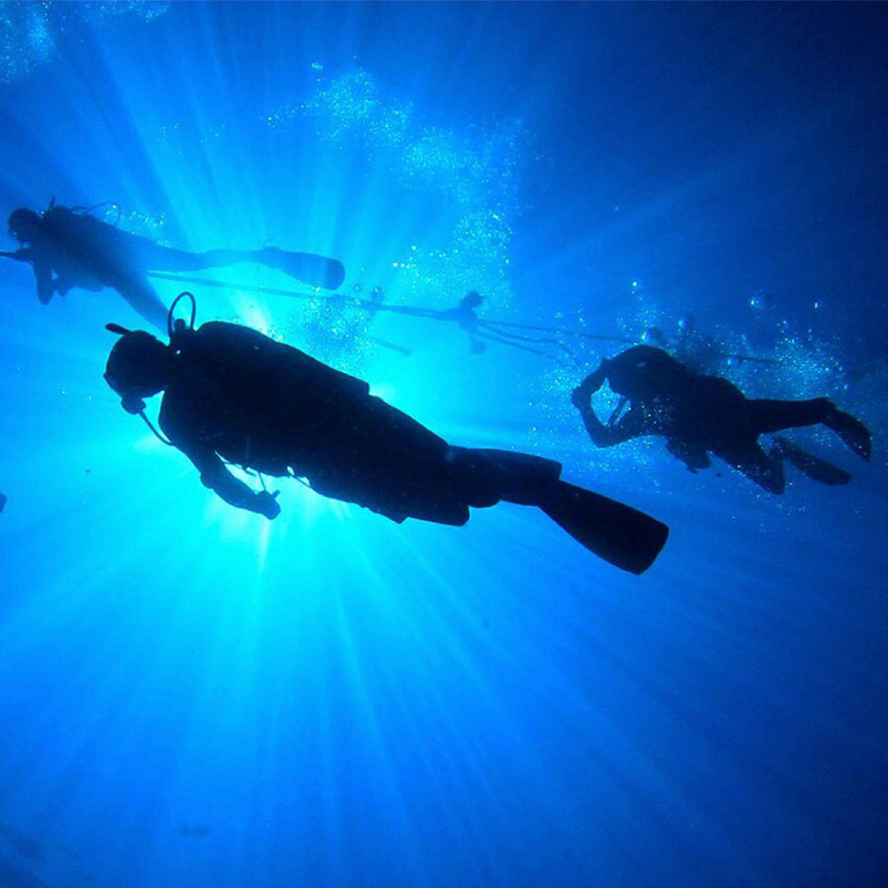 PADI Specialty (MSDT) Instructor.  From £250.00.  (£100.00 deposit required.)