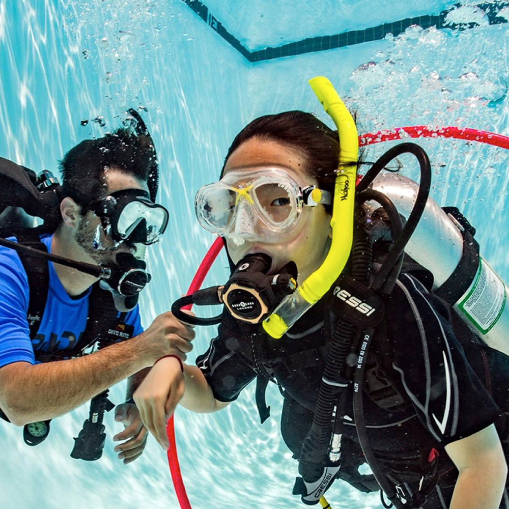 PADI Master Seal Team.     £250.00  (£50.00 deposit required.)