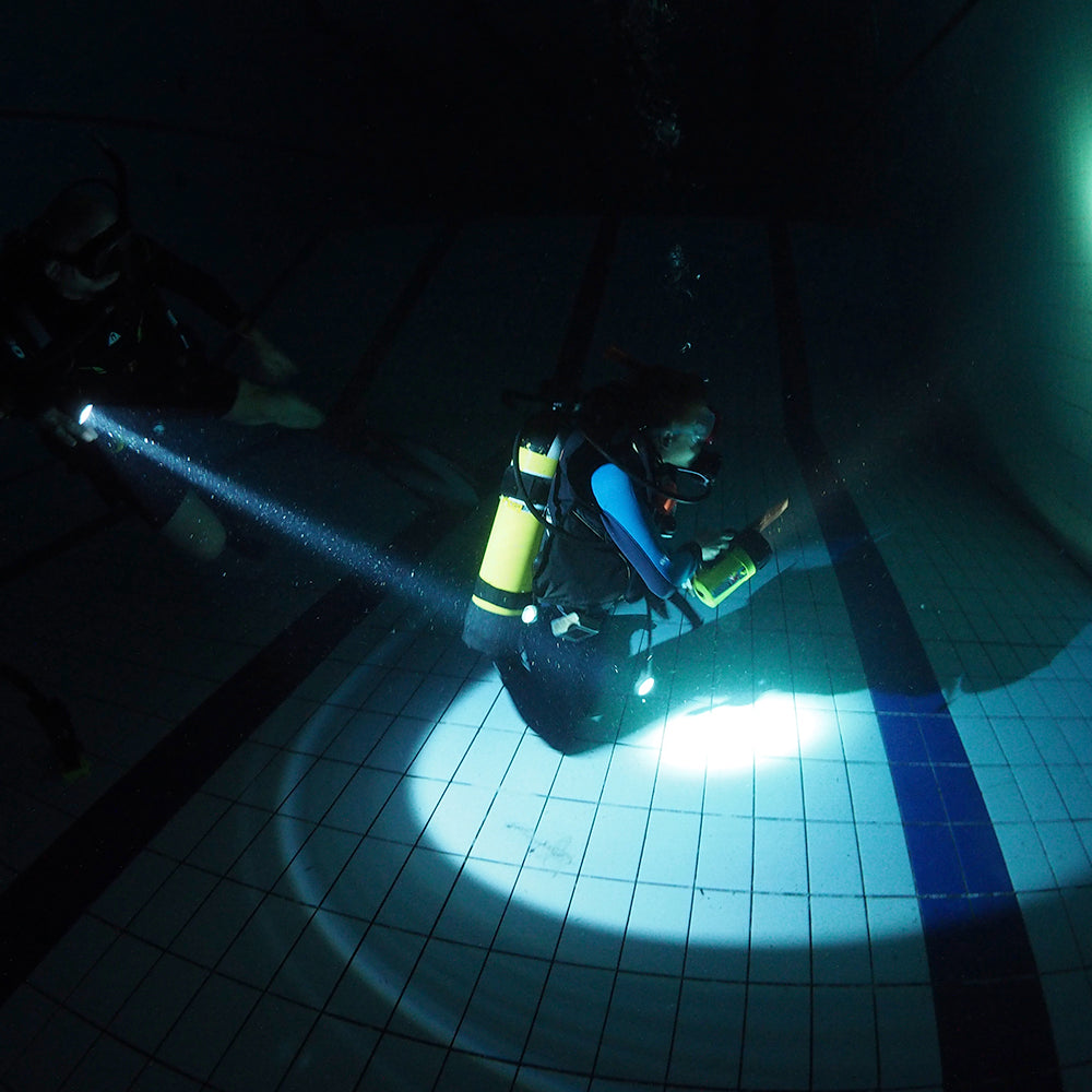 PADI Master Seal Team.     £250.00  (£50.00 deposit required.)