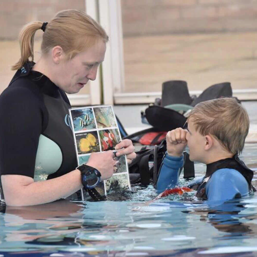 PADI Master Seal Team.     £250.00  (£50.00 deposit required.)