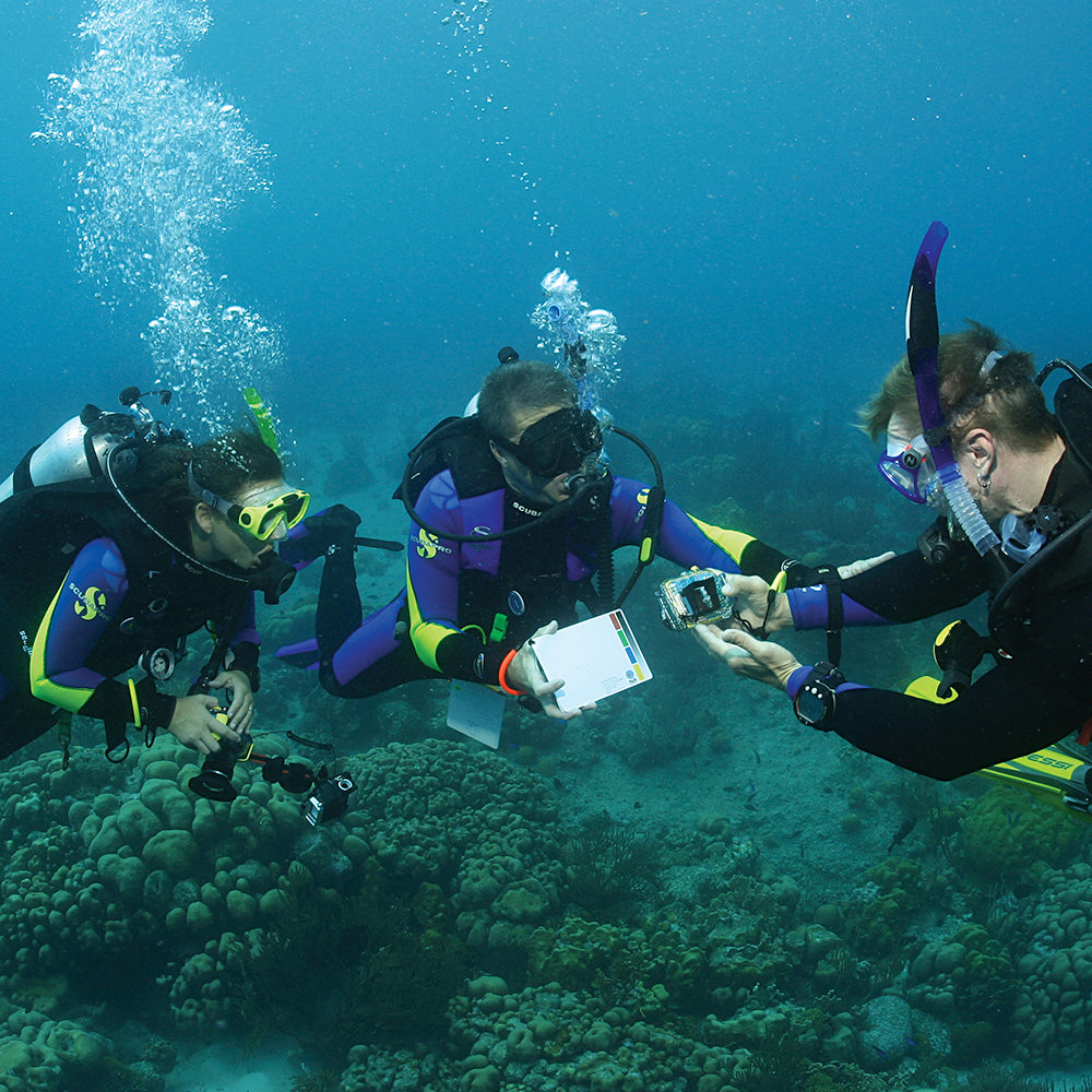 PADI Open Water Scuba Instructor (OWSI)   £1650.00.  (£100.00 deposit required.)