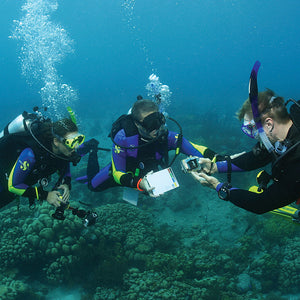 PADI Open Water Scuba Instructor (OWSI)