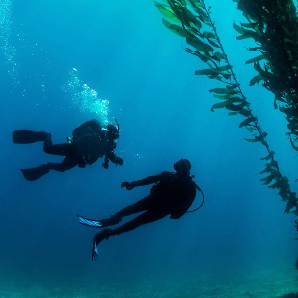 PADI Deep Diver Course; £379.00. (£150.00 deposit required).