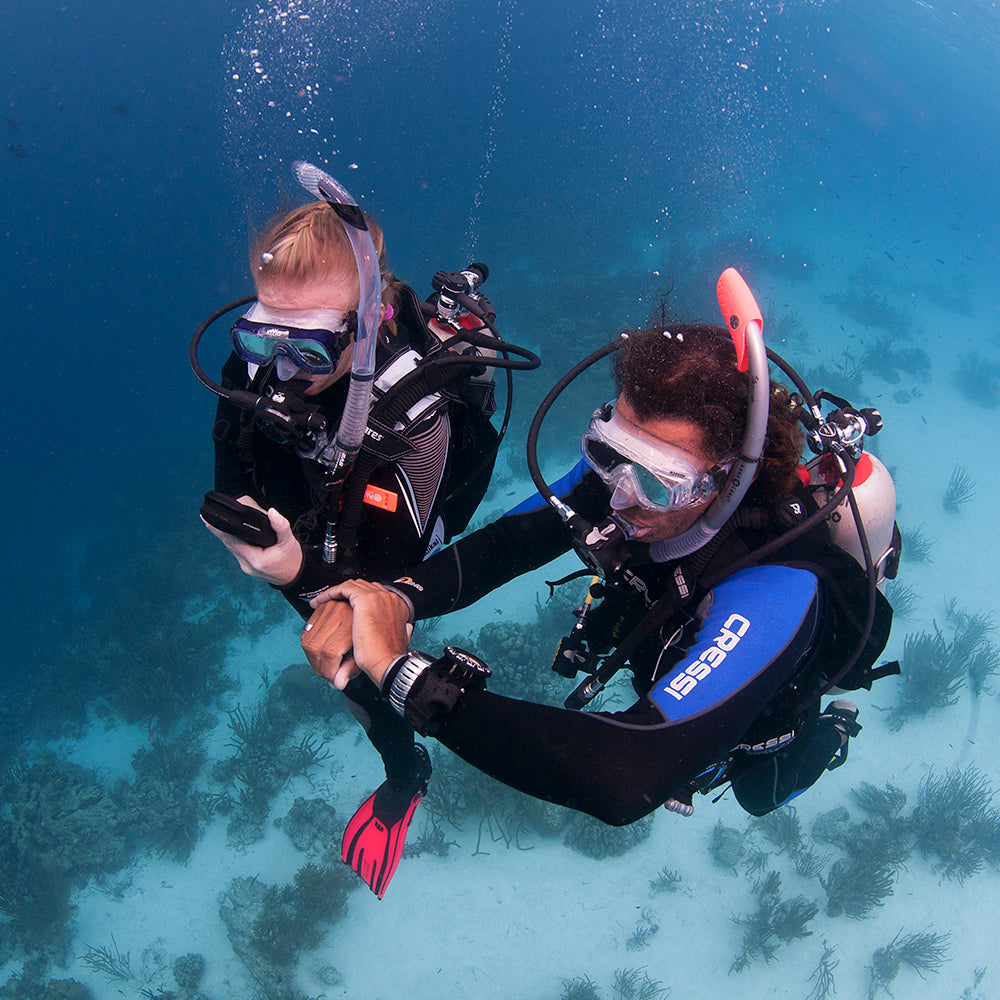 PADI Underwater Navigation Diver: £269.00. (£150.00 deposit required).