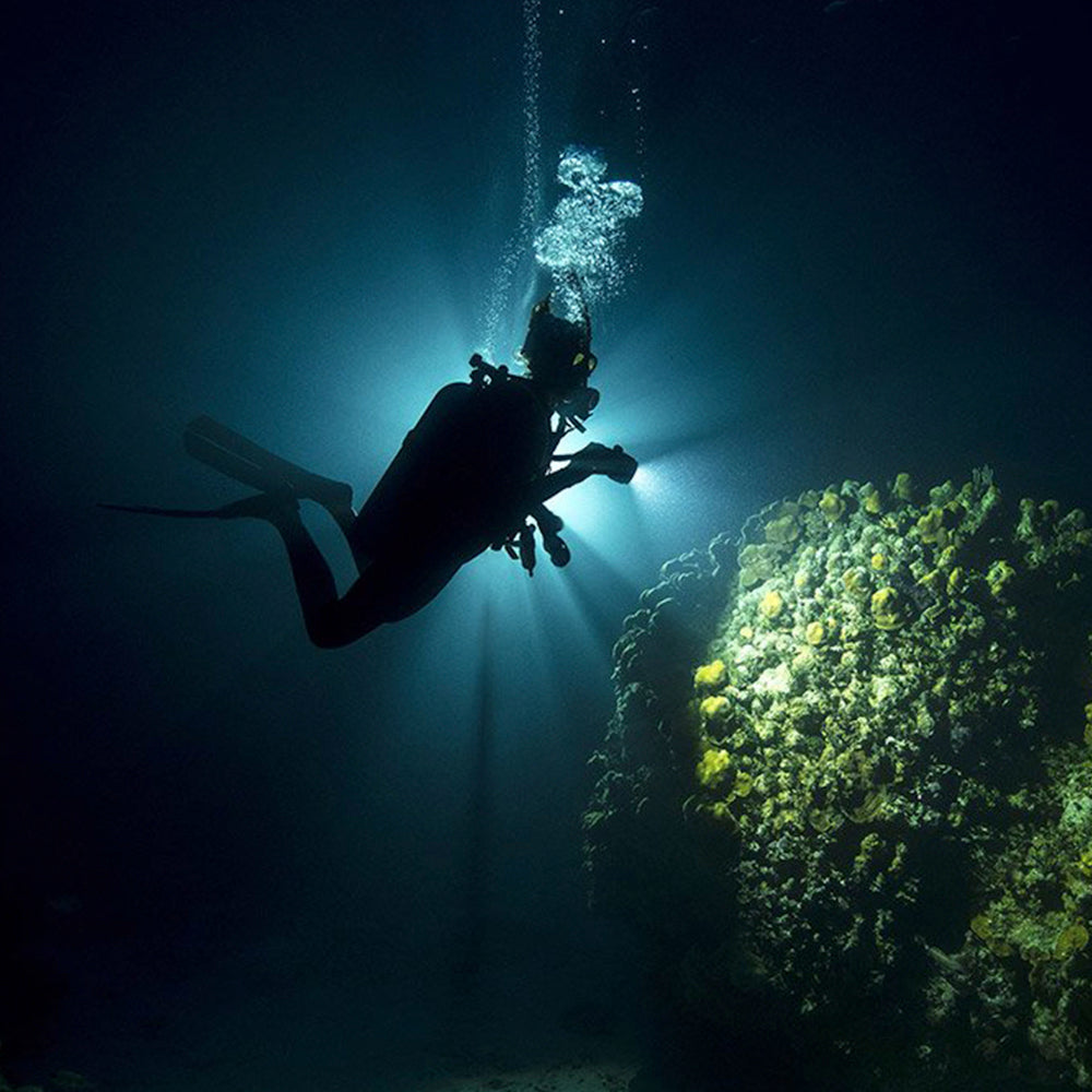 PADI Advanced Open Water Diver Course.         £450.00.    (£150.00 deposit required.)