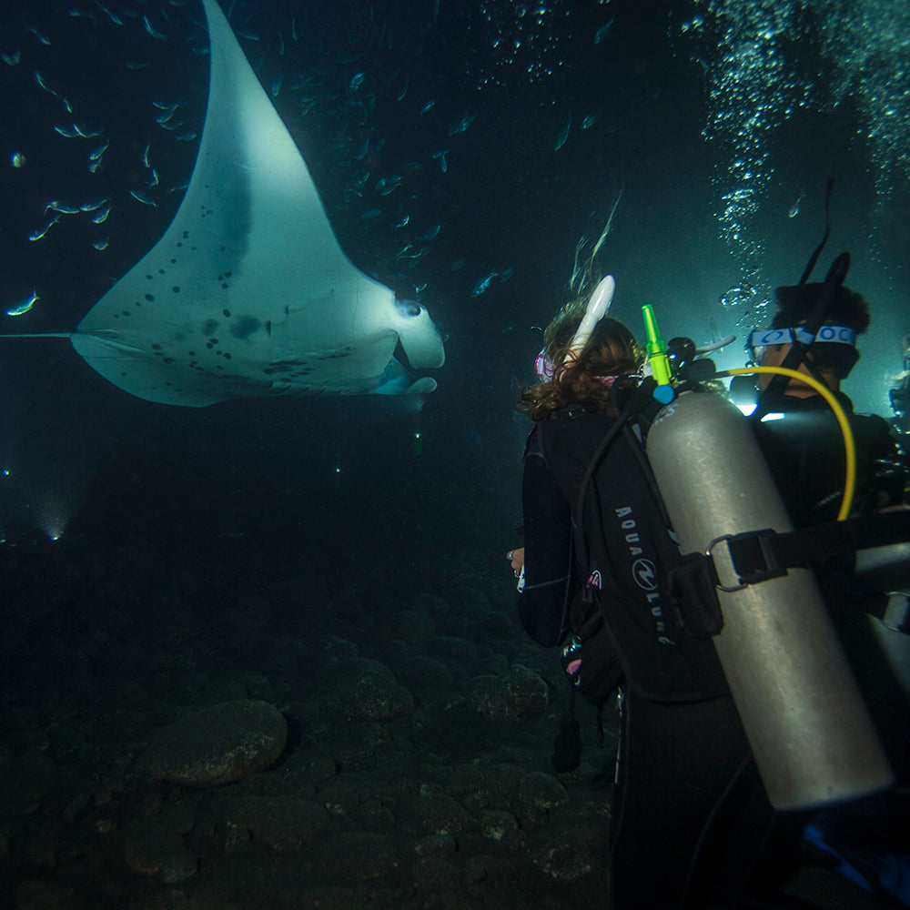 PADI Night Diver: £315.00. (£150.00 deposit required).