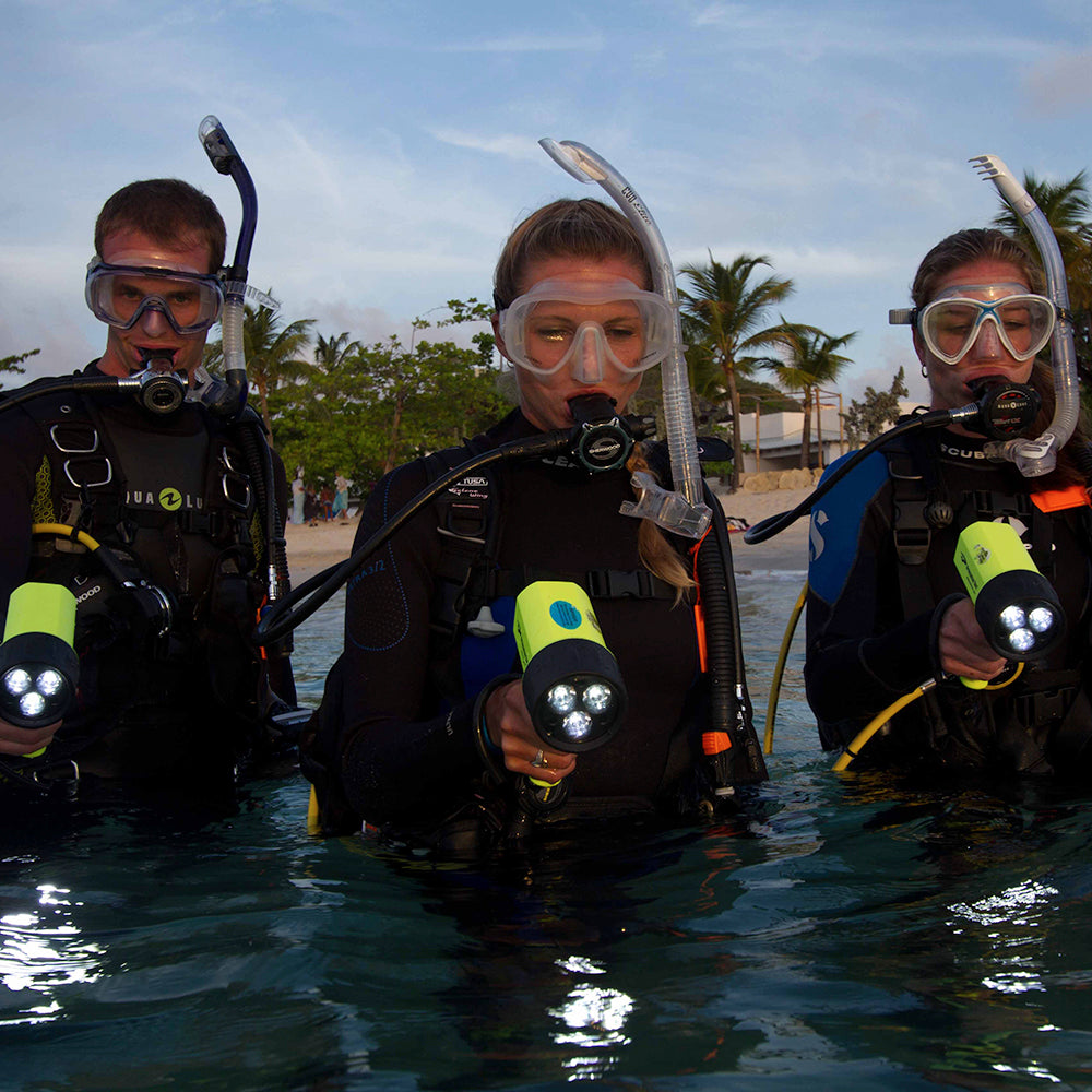 PADI Night Diver: £315.00. (£150.00 deposit required).