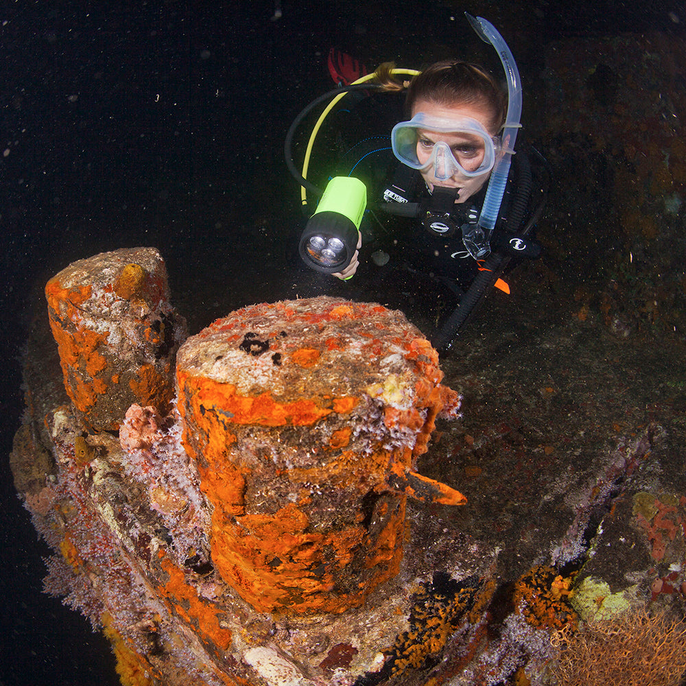 PADI Night Diver: £315.00. (£150.00 deposit required).