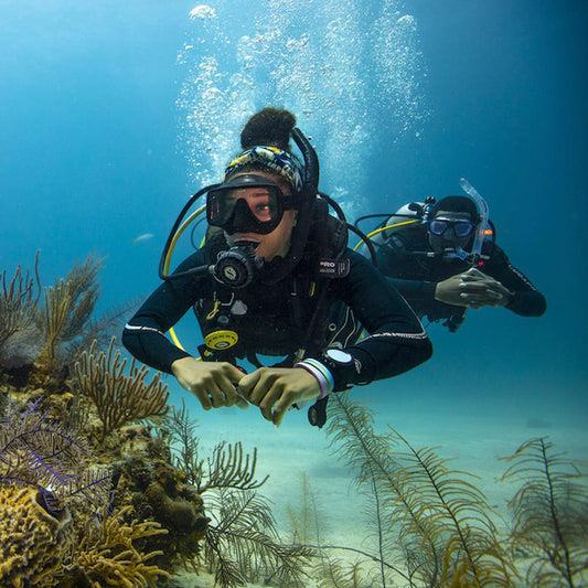 PADI Peak Performance Buoyancy Diver:      £235.00.   (£150.00 deposit required).