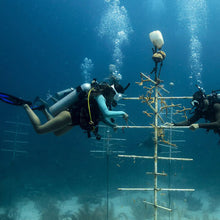 Load image into Gallery viewer, PADI Peak Performance Buoyancy Diver
