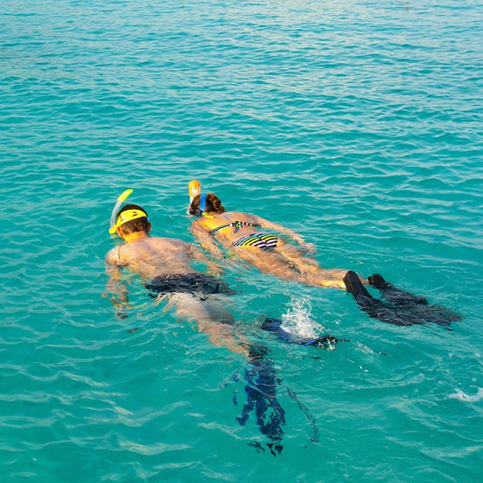 PADI Discover Snorkeling