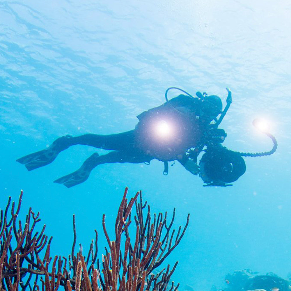 PADI Digital Underwater Photography (DUP), £295.00. (£150.00 deposit required).