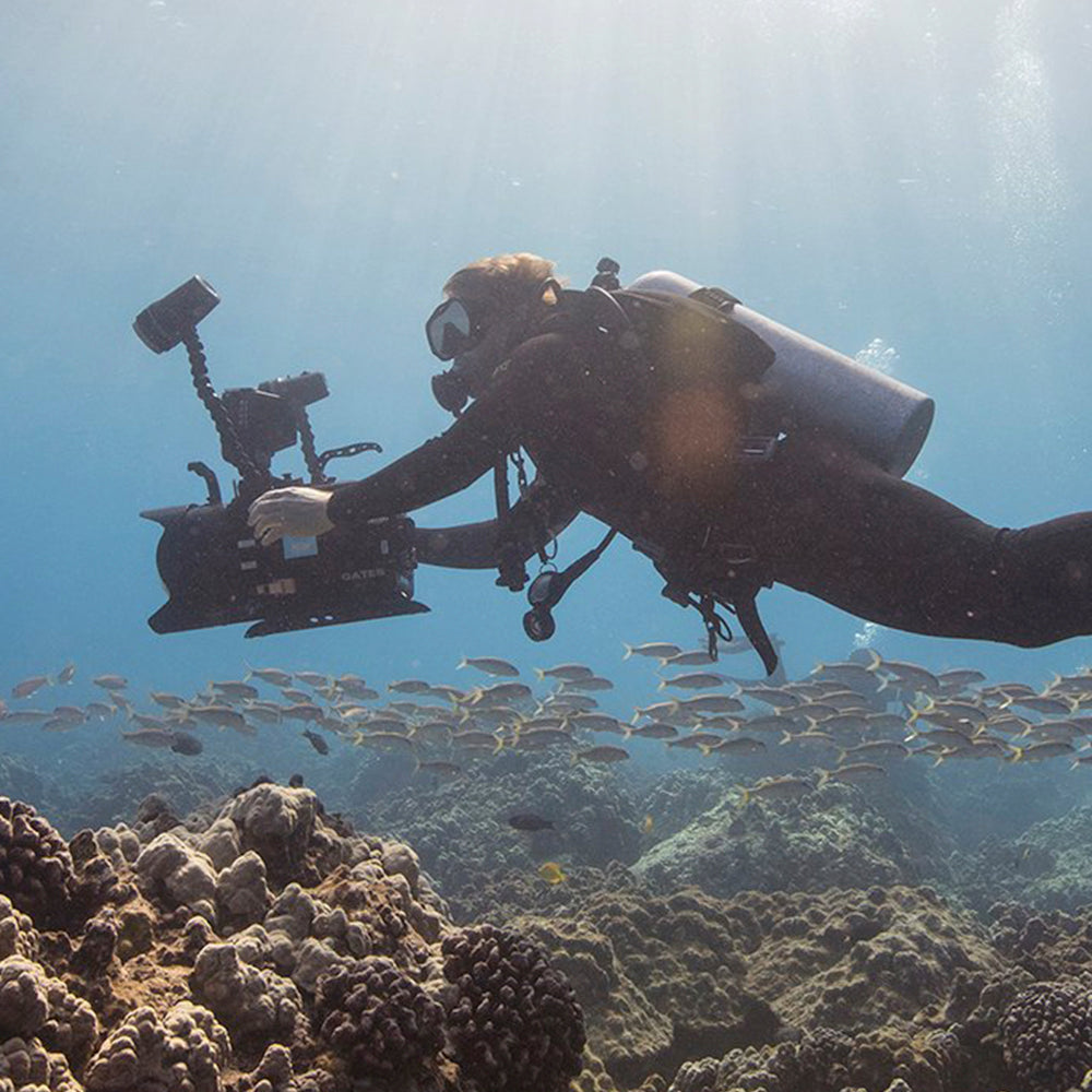 PADI Digital Underwater Photography (DUP), £295.00. (£150.00 deposit required).