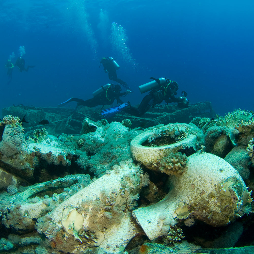 PADI Digital Underwater Photography (DUP), £295.00. (£150.00 deposit required).