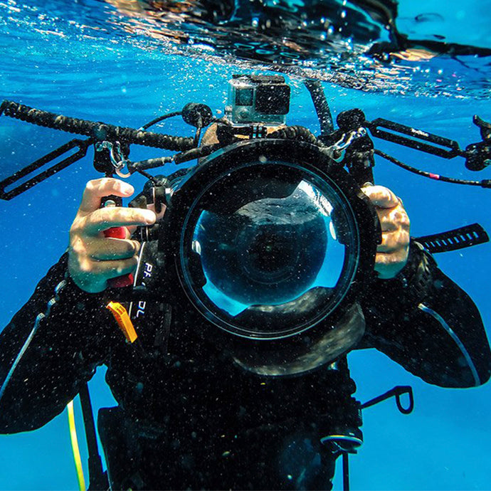 PADI Digital Underwater Photography (DUP)